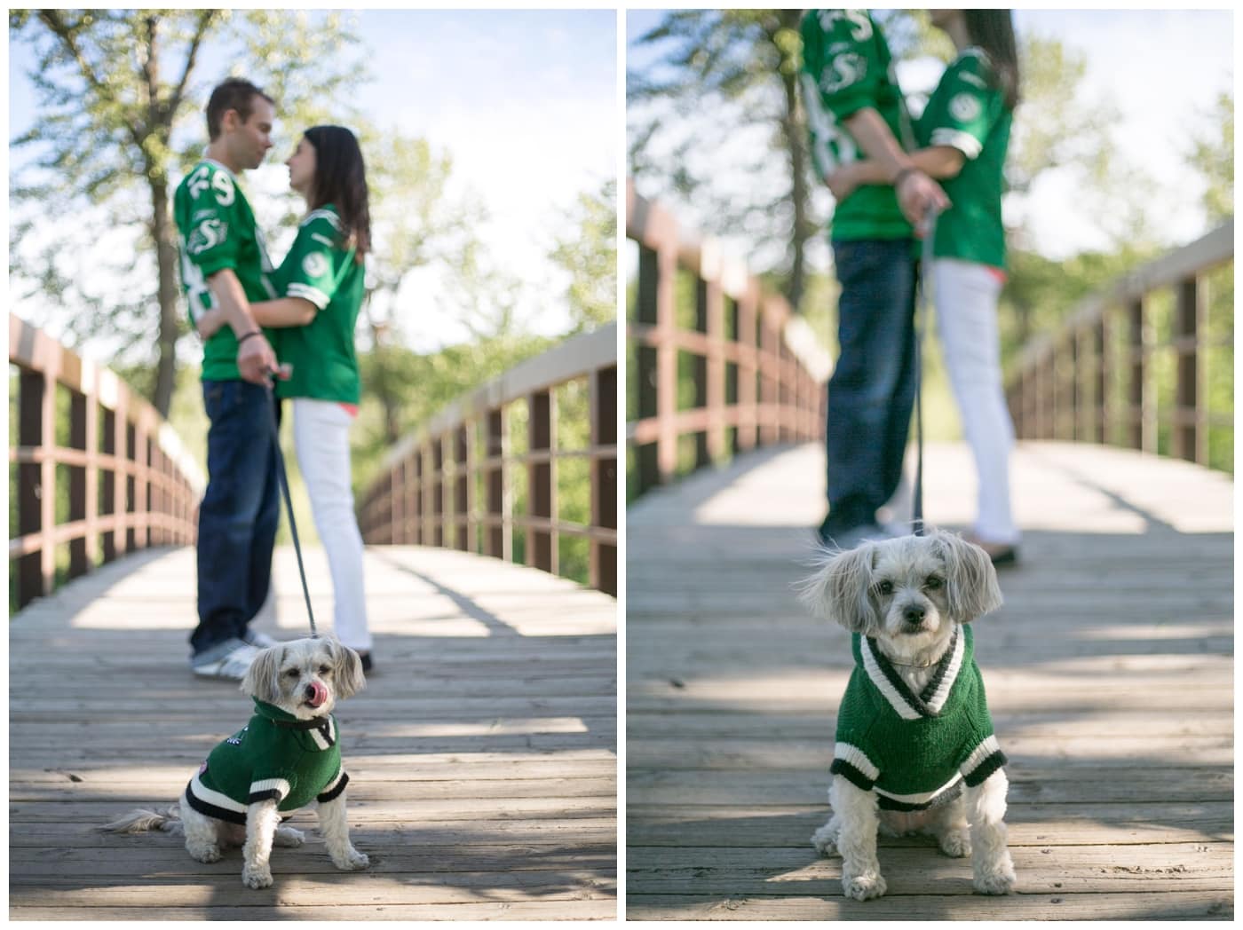 Fish Creek Park Engagement with a newly engaged couple and their dog, beautiful green trees, bridegs, and setting sunlight