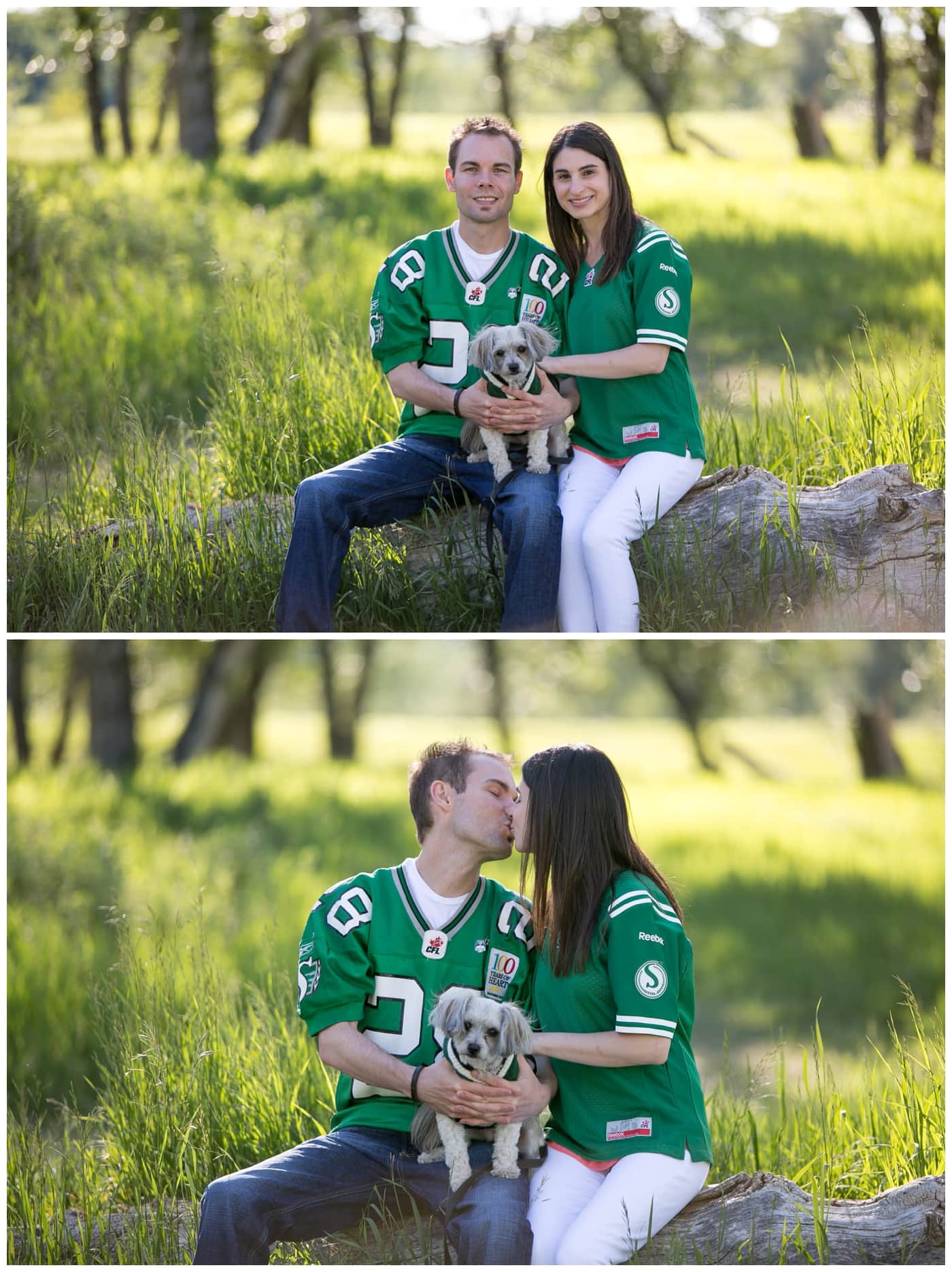 Fish Creek Park Engagement with a newly engaged couple and their dog, beautiful green trees, bridegs, and setting sunlight