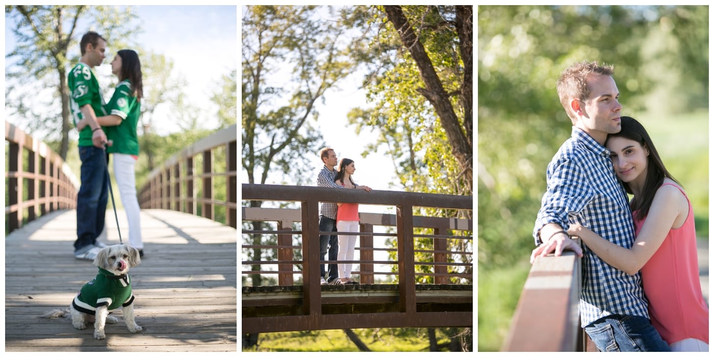 A newly engaged couple and their dog pose on a bridge in Fish Creek Park with a beautiful treeline behind them