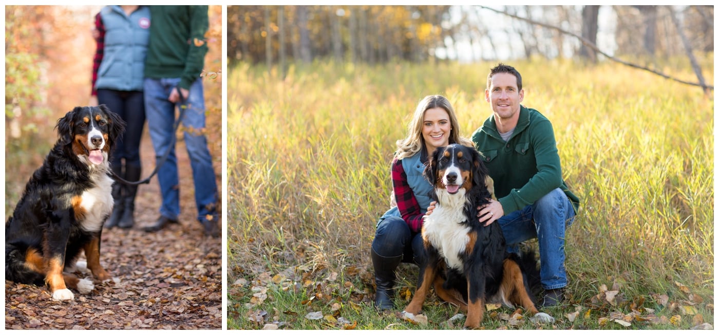 A couple pose with their St. Bernard dog amonst grass and leaves