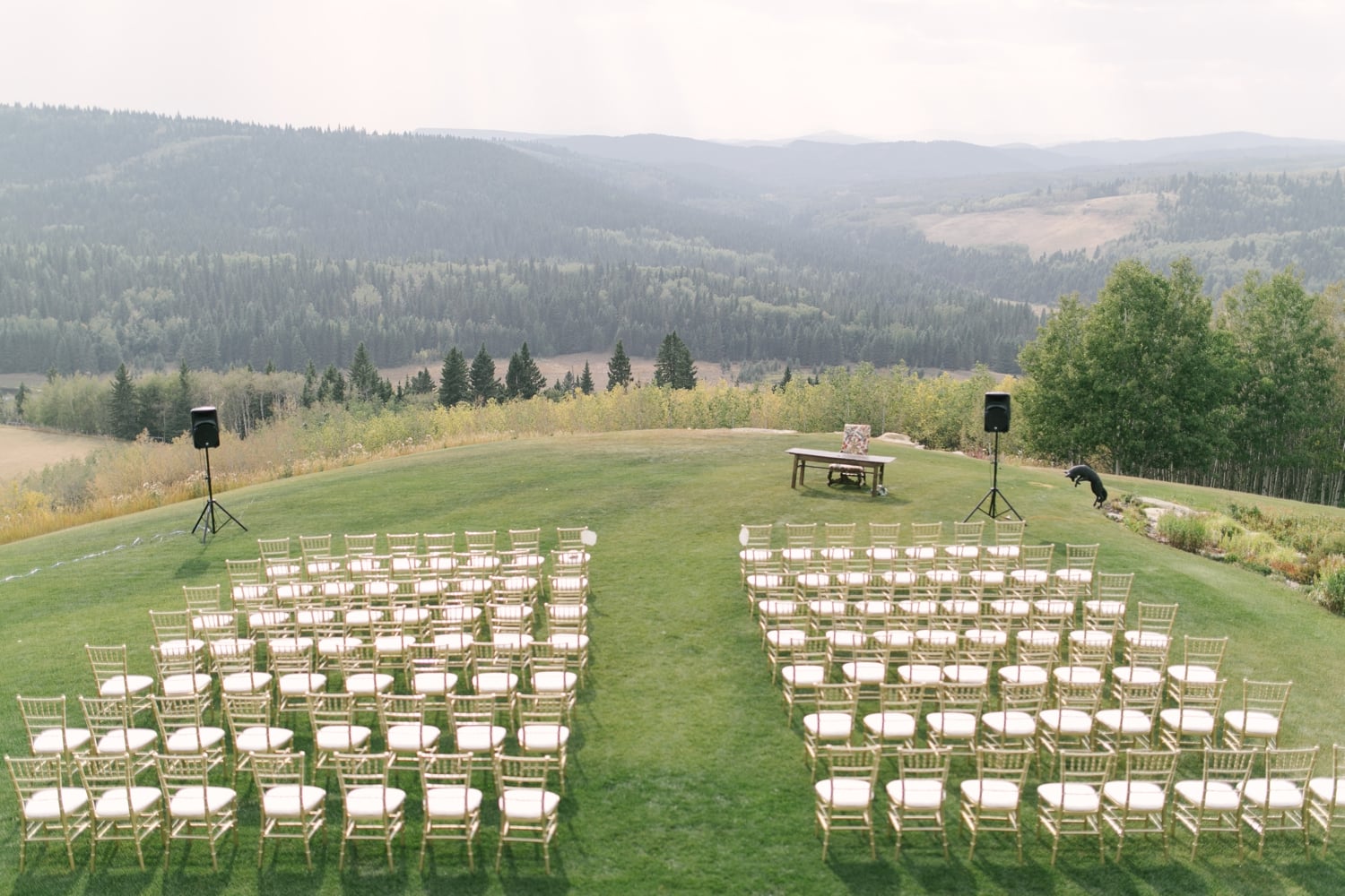 Outdoor Priddis Alberta Wedding Backyard Wedding Tent Laura Barclay Photography