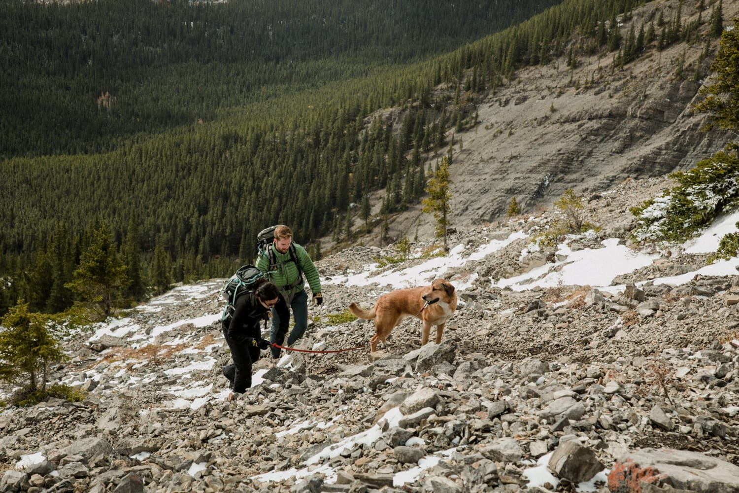 A couple and their dog hike up some scree while climbing up a mountain