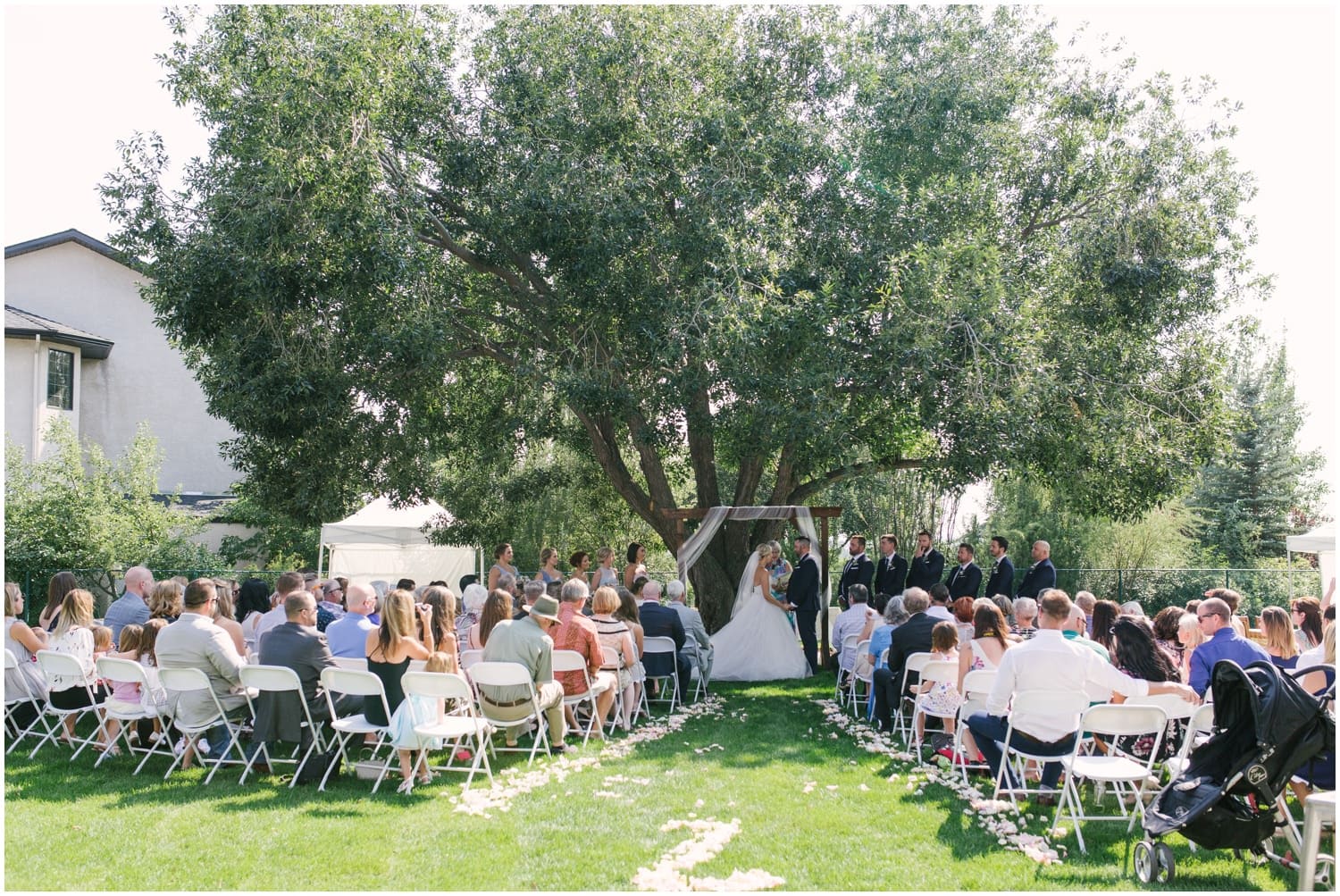 A stunning wide view of all the guests and attendees under a large tree at a wedding in the couple's backyard in Calgary, Alberta. 